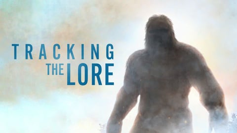 Tracking the Lore cover image
