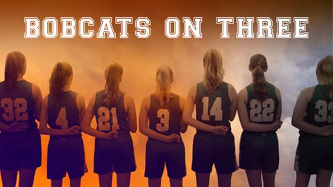 Bobcats On Three cover image