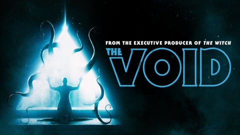 The Void cover image