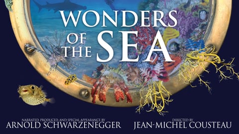 Wonders of the Sea cover image