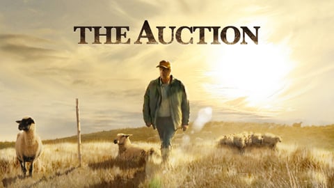 The Auction [streaming video]
