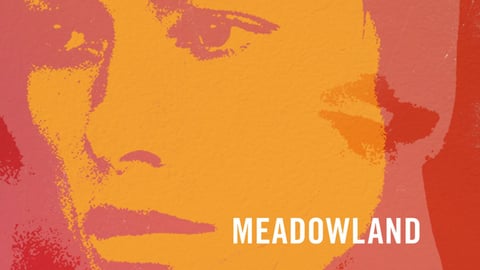 Meadowland cover image