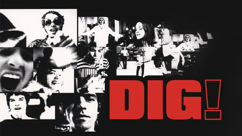 Dig! cover image