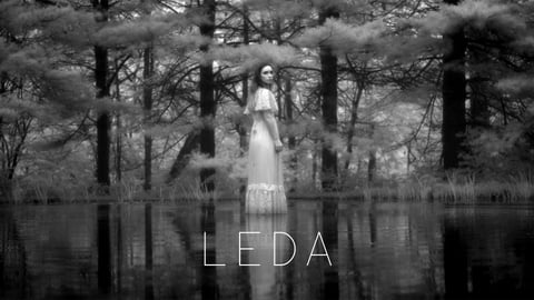 Leda cover image