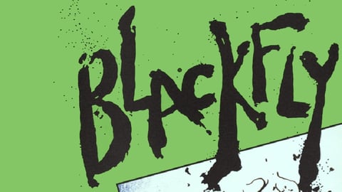 Blackfly cover image