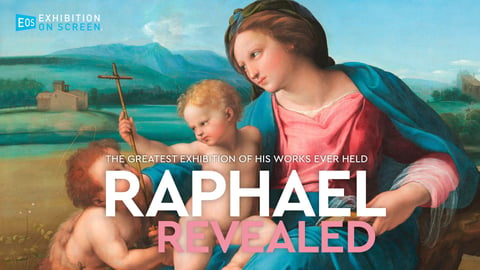 Raphael Revealed cover image