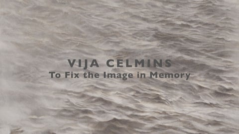 Vija Celmins: To Fix the Image in Memory cover image