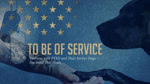 To Be of Service cover image