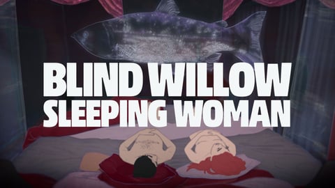 Blind Willow Sleeping Woman cover image