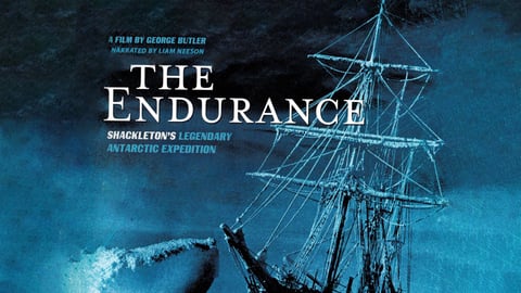 The Endurance cover image