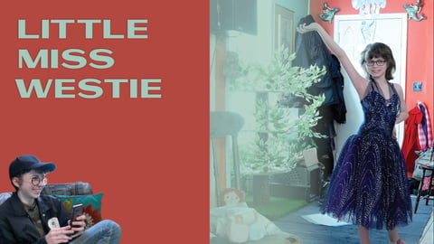 Little Miss Westie cover image