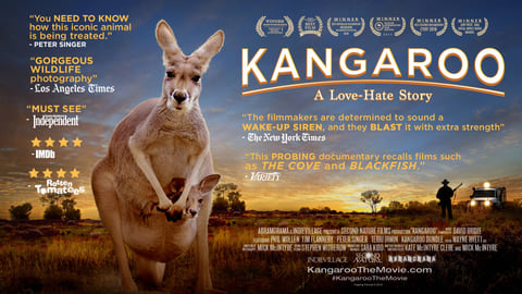 Kangaroo: A Love-Hate Story cover image