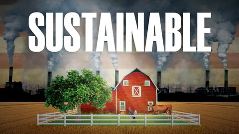 Sustainable cover image