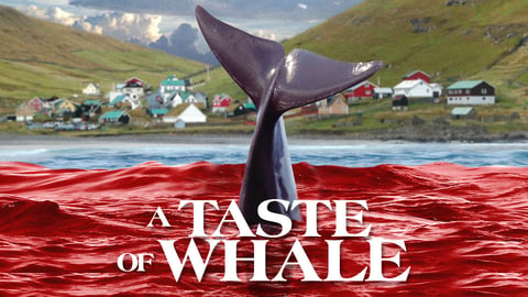 A Taste of Whale cover image