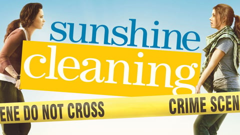 Sunshine Cleaning cover image