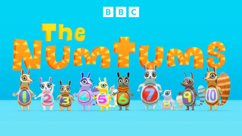 The Numtums cover image