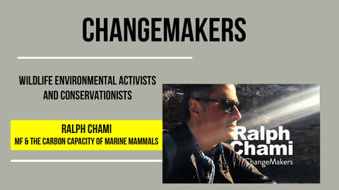 Ralph Chami: IMF &amp; The Carbon Capacity of Marine Mammals