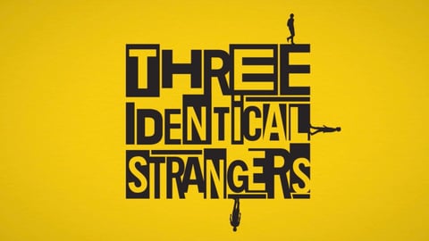 Making-of: Three Identical Strangers cover image