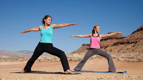Iyengar Yoga cover image