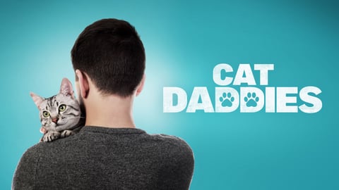 Cat Daddies cover image