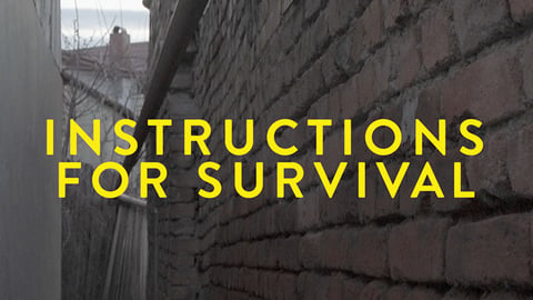 Instructions for Survival cover image