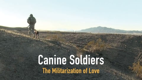 Canine Soldiers cover image