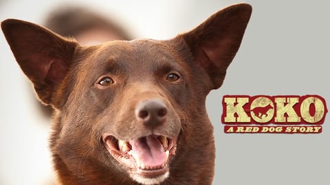 Koko: A Red Dog Story cover image