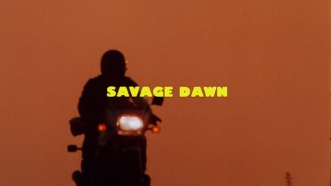 Savage Dawn cover image