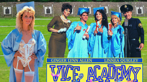 Vice Academy cover image
