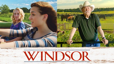 Windsor cover image
