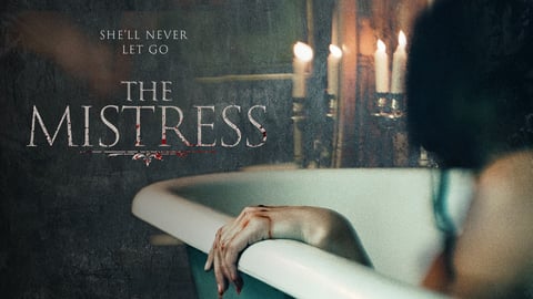 The Mistress cover image