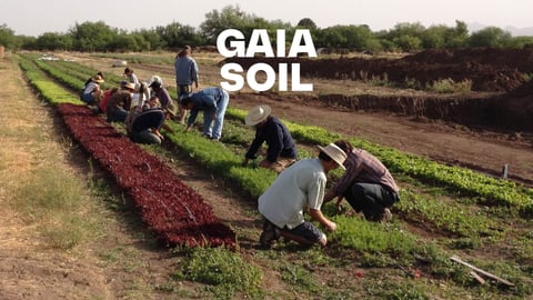 Gaia Soil cover image