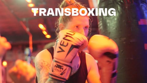 TransBoxing cover image