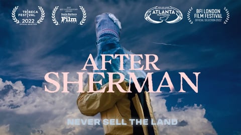 After Sherman cover image