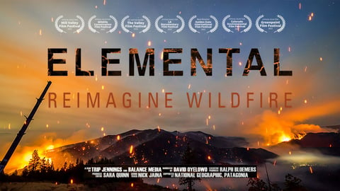 Elemental cover image