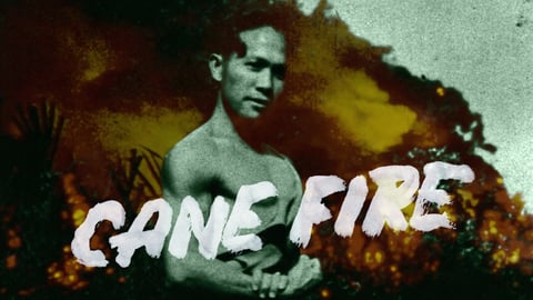 Cane Fire cover image