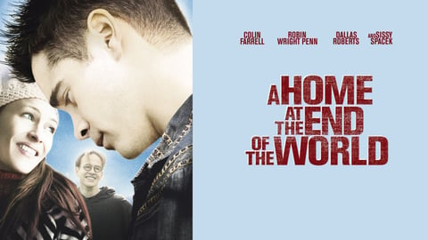 A Home at the End of the World cover image