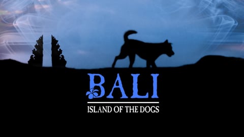 Bali: Island of the Dogs cover image