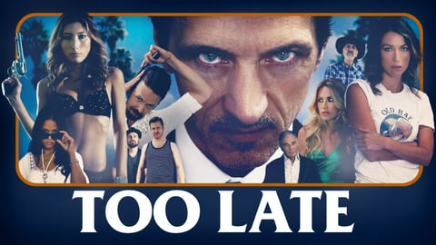 Too Late cover image