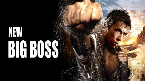 The New Big Boss cover image