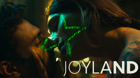 Joyland cover image