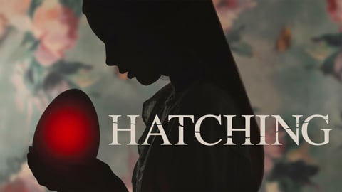 Hatching cover image