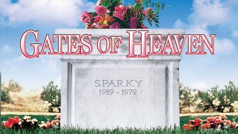 Gates of Heaven cover image