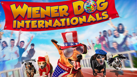 Wiener Dog Internationals cover image