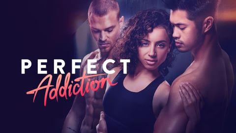 Perfect Addiction cover image