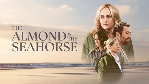 The Almond and the Seahorse cover image