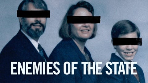 Enemies of the State cover image