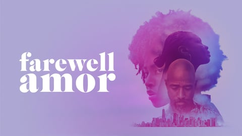 Farewell Amor cover image
