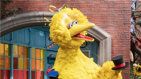 Sesame Street: S51. Episode 2, Measuring Big Bird cover image