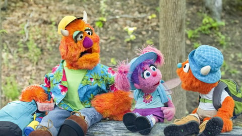 Sesame Street: S52. Episode 5, Hike Pirates cover image